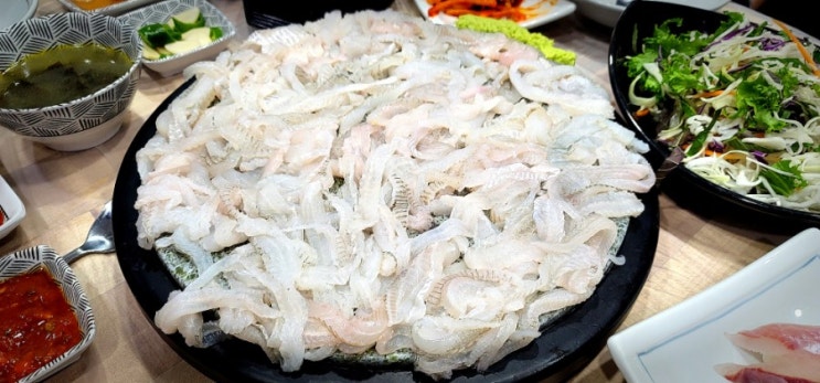 구미 임은동 맛집,울산정자참가자미(횟집, 도다리, 회, 술집)