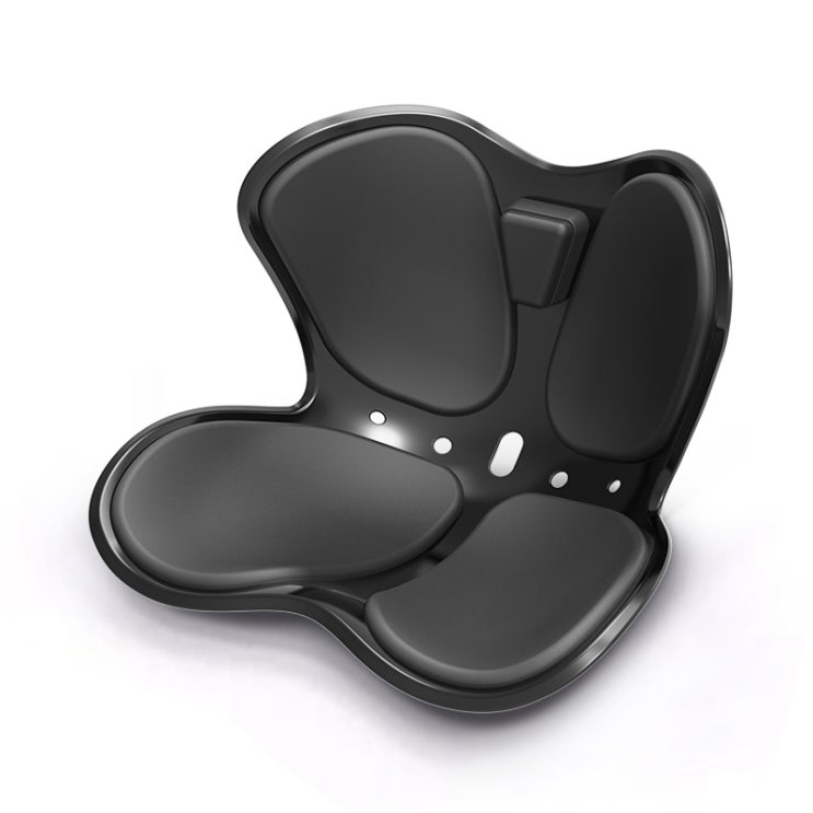 후기가 정말 좋은 버터플라이체어 커블체어 허리보호 바른자세 교정의자 2+1 요추 골반 교정 의자, 블랙1+1(2개) 추천해요