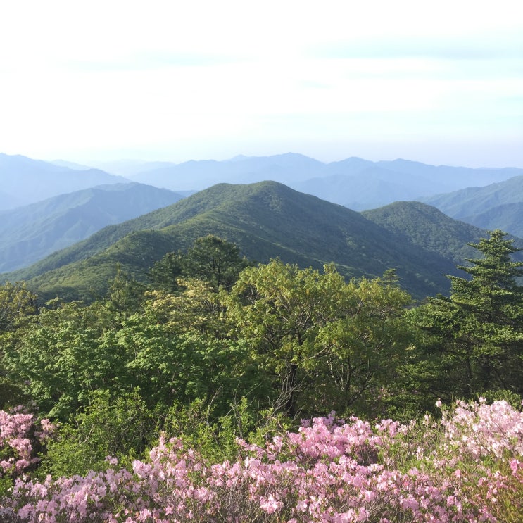 지리산 성중종주(성삼재 - 노고단 - 반야봉 -벽소령 - 세석 - 천왕봉 - 중산리)