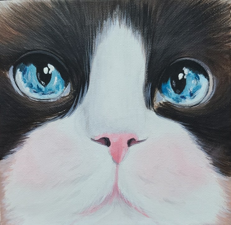반려동물팝아트초상화 고양이그림 주문제작 반려동물팝아트초상화 고양이그림 주문제작
