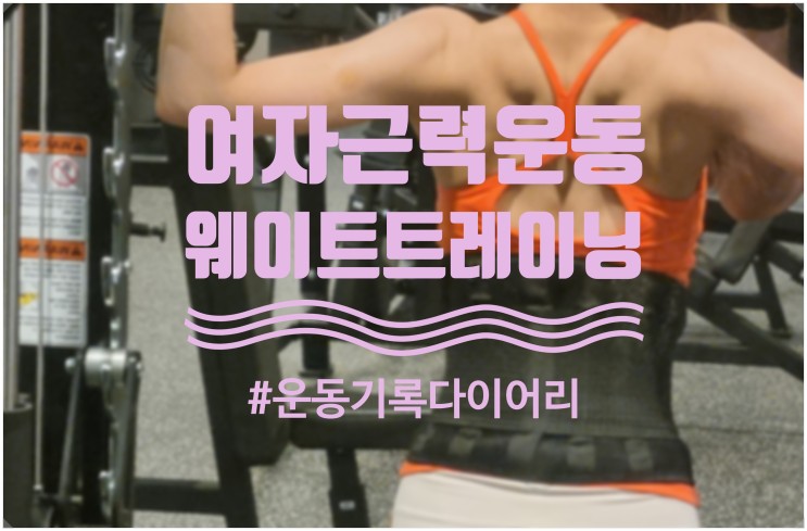 여자근력운동 웨이트 운동다이어리 영상,움짤(0425) 내돈내운동