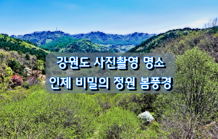 강원도 사진촬영 명소 인제 비밀의 정원 봄풍경 강원도 사진촬영 명소 인제 비밀의 정원 봄풍경