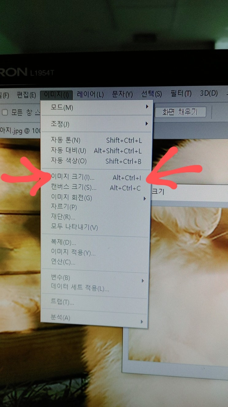  포토샵이미지확대와 사진크기줄이기 안 깨지게 포토샵노이즈감소