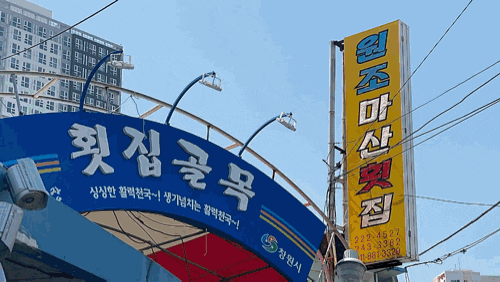  마산 어시장 횟집 '지훈이 엄마 합천회 전문' 방문 포장 후기