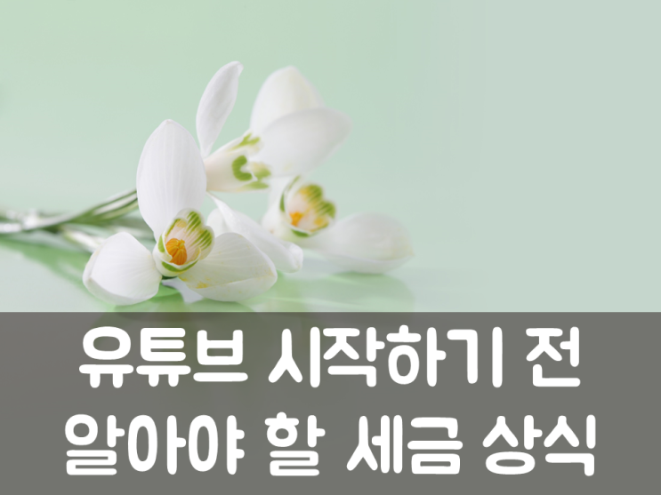  유튜브 시작하기 전 알아야 할 세금 상식