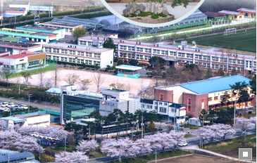 전남자연과학고등학교 Jeonnam Natural Science High School 전남자연과학고등학교 Jeonnam Natural Science High School
