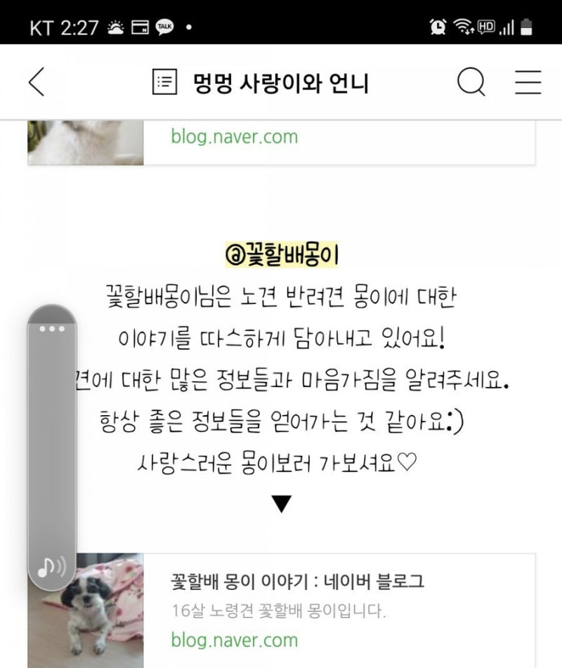 사진 2