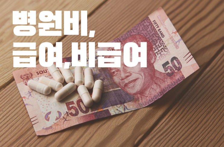  [실손 영수증 잘 보는법? 1편]  급여, 비급여, 임의비급여 실손용어 정리