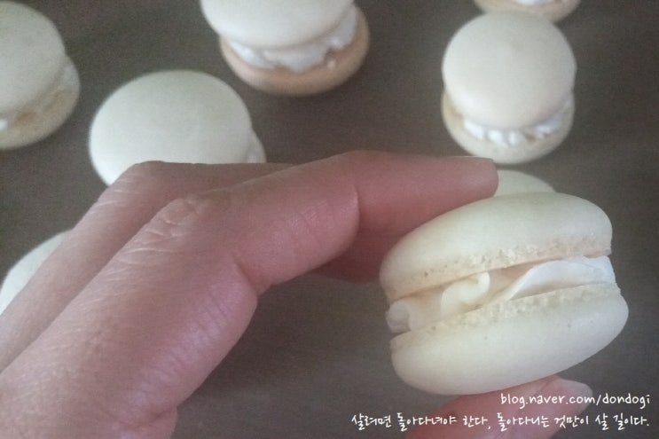 마카롱(Macaron) - 이건 또 뭐야, 직접 만들 필요는 없잖아