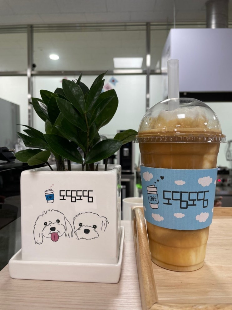  성남 중앙시장/태평역카페  저렴한맛집카페도담도담