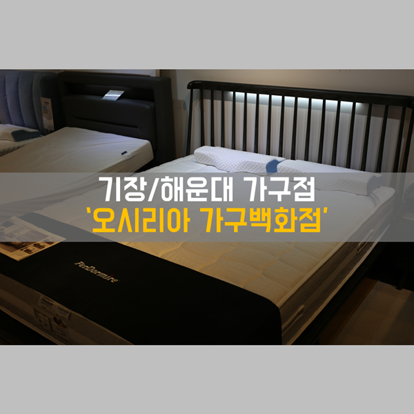  부산가구할인매장 '오시리아 가구 백화점' 금성, 밀리 침대, 세라믹 식탁 구경하기! (기장, 해운대가구점!)