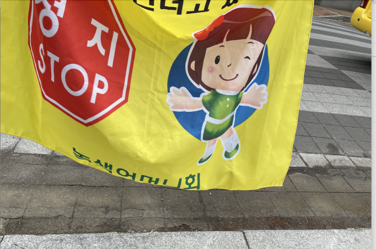  인생처음 녹색어머니회 봉사를...