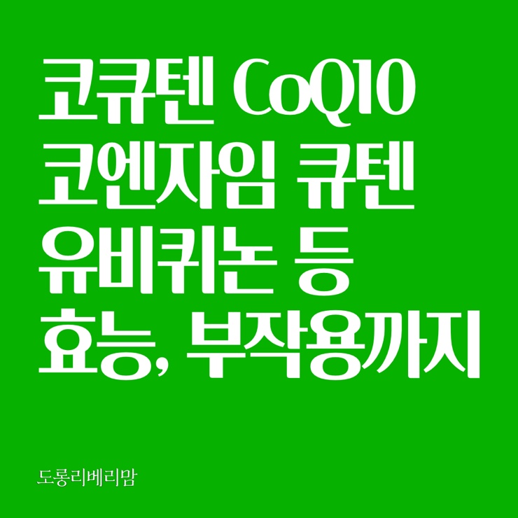  코큐텐효능 코엔자임Q10 항산화