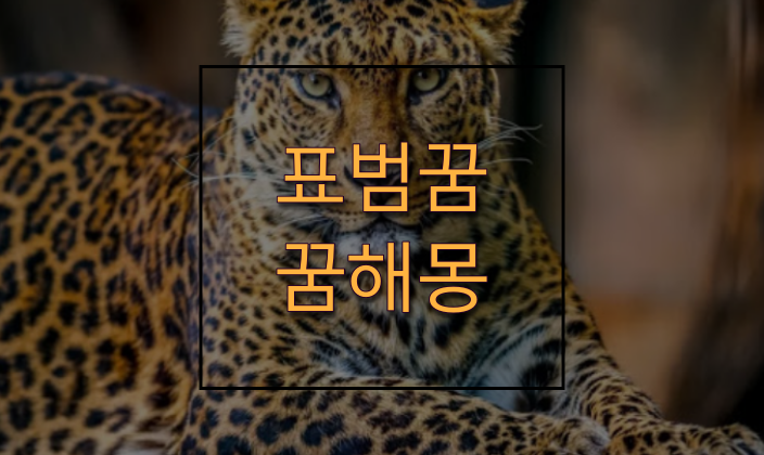 표범꿈 해몽 멋진 무늬의 표범이 꿈에 나타났다?