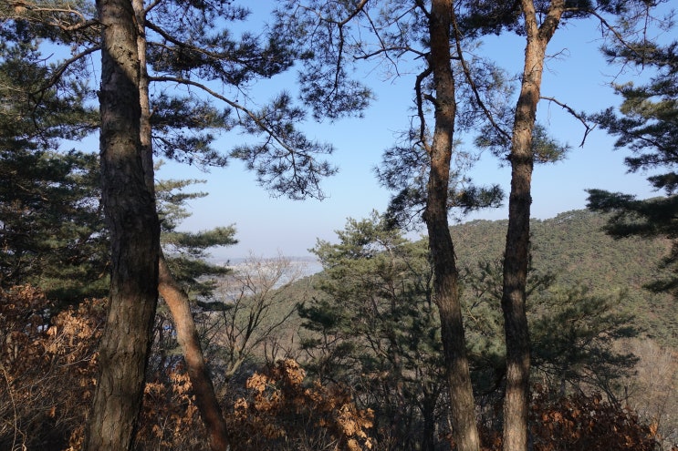  배가 부글부글 거리는 증상