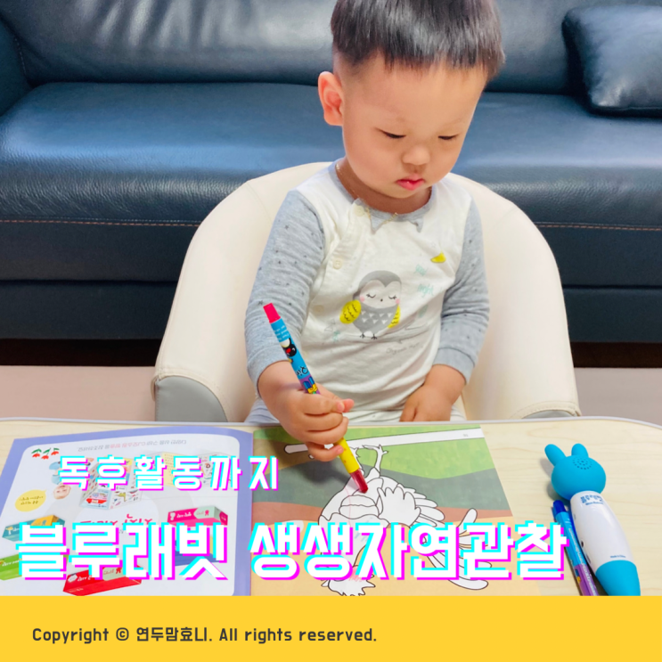 돌아기 자연관찰 블루래빗 스티커북으로 독후활동까지 걱정없어요 돌아기 자연관찰 블루래빗 스티커북으로 독후활동까지 걱정없어요