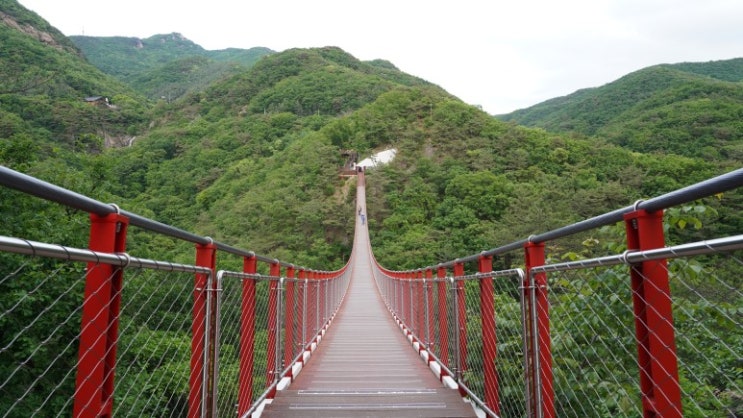  파주가볼만한곳 감악산 출렁다리 율곡수목원 드라이브