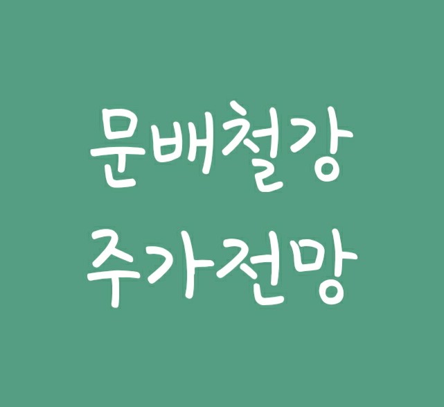 중소형철강관련주 문배철강 주가 전망 중소형철강관련주 문배철강 주가 전망