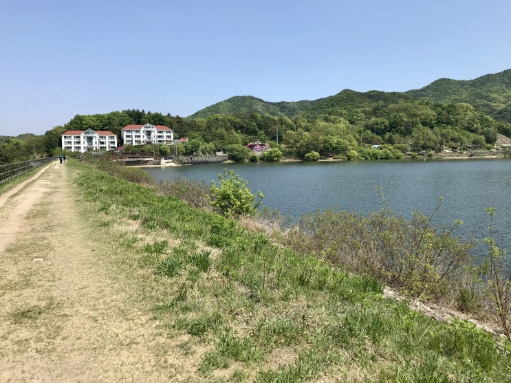 천안 가볼만한곳 금계국은 아직 천안 성거읍 성거산 천흥저수지