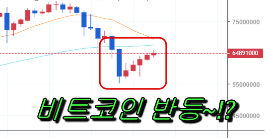  [화제집중]비트코인 c폭락하자 우리나라 경찰이 한 일..!?(비트코인 가격 반등)