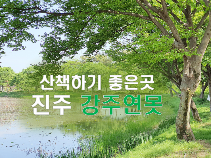 진주 강주연못 가족나들이 휴식처 진주 가볼만하곳