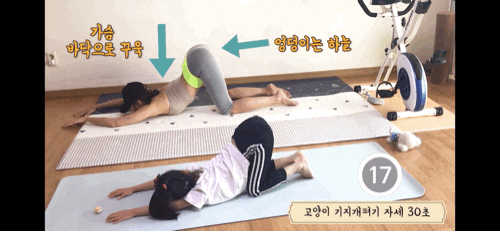 허리 스트레칭 : 요가 고양이자세