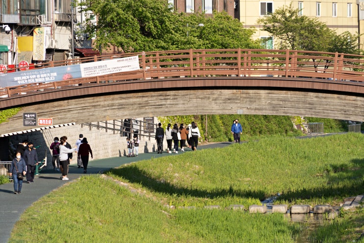  S20 울트라 이용한 사진촬영기법
