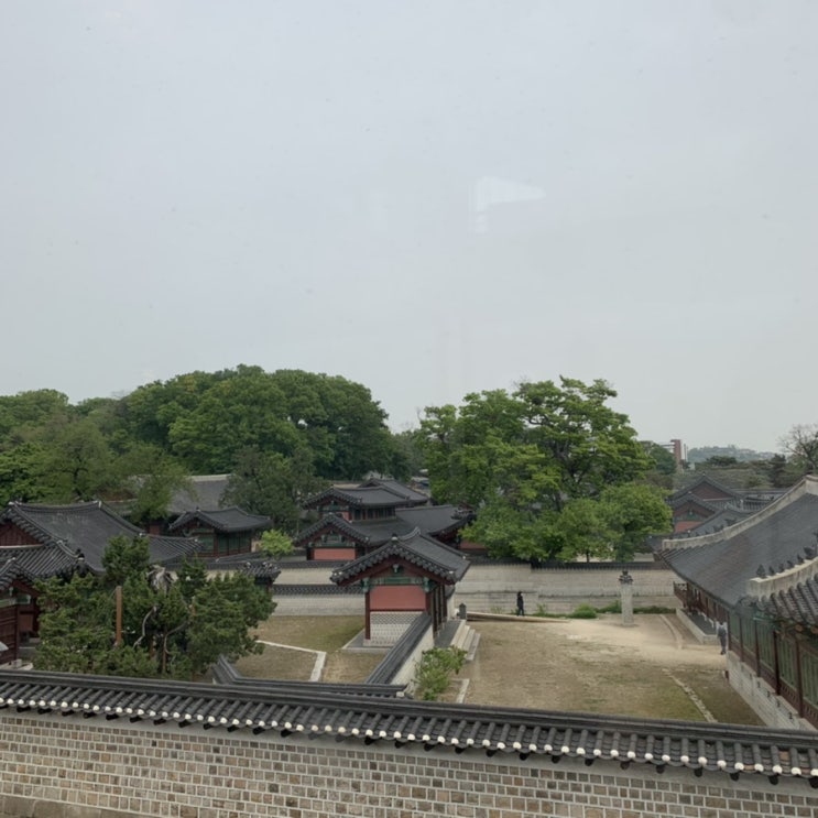  [종로카페] 카페 회화나무 : 창덕궁 뷰