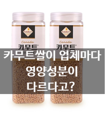  카뮤트쌀(효능)/강화섬쌀20kg 밥이 맛있는 비결~