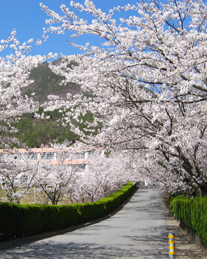 전남기술과학고등학교 Jeonnam Technical Science High School