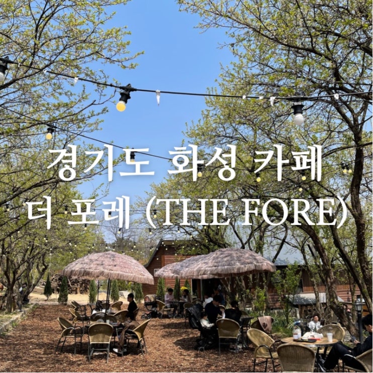  생방송 투데이 나온 빵플레이스 더포레 후기 위치 경기도 빵 브런치 뷰 맛집