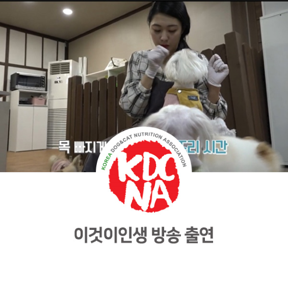  [펫푸드자격증/한국반려동물영양협회/안성/수원/평택/오산/시흥] 최수연펫푸드아카데미 이것이 인생 방송 출연_778