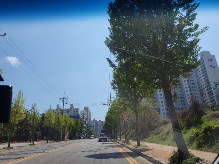  운전연수 도전해보기 [후기보고가세요]