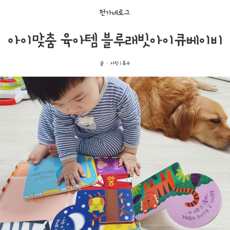  발달단계맞춤 육아템 블루래빗아이큐베이비