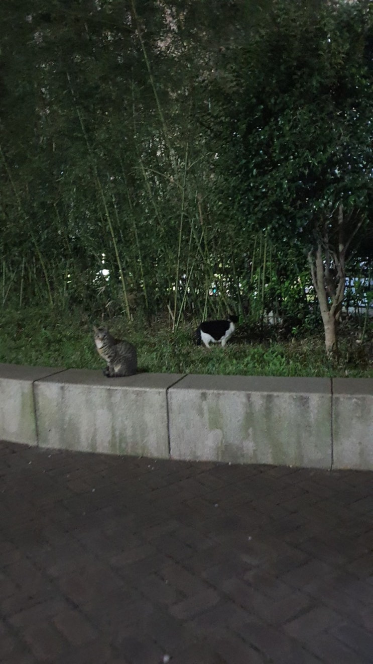  [4월의 일상]풍성한 4월 이야기들