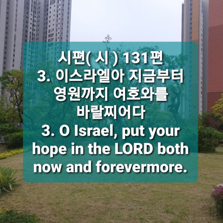  영원까지 여호와를 바랄찌어다