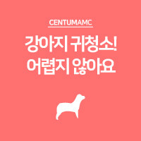  강아지 귀청소! 어렵지 않아요