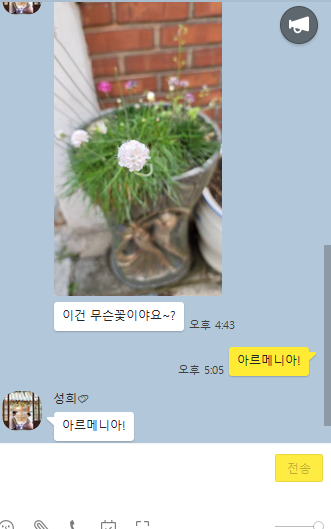  아르매니아 꽃 - 너도부추