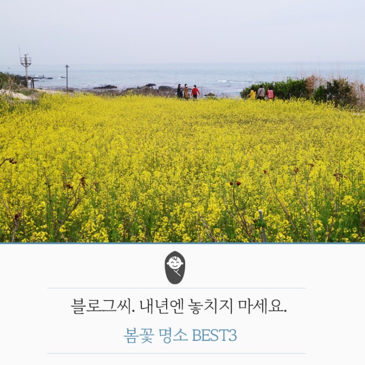  블로그씨. 내년엔 놓치지 마세요. 봄꽃 명소 BEST3