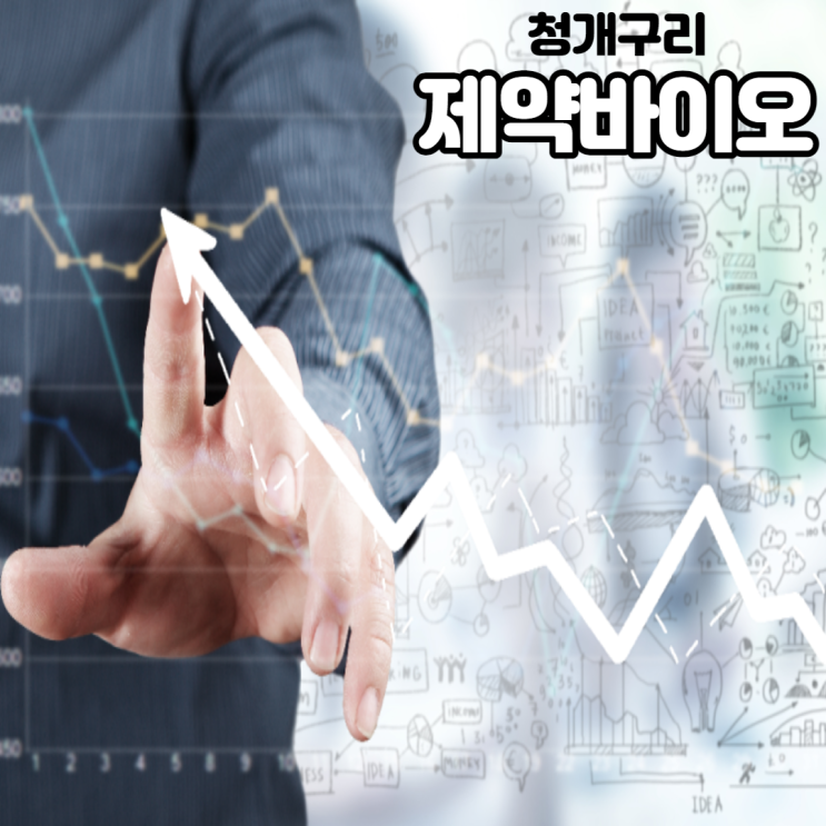  주식 시세조회 잘하는법 알려주는 청개구리 제약바이오 무료컨설팅진행중