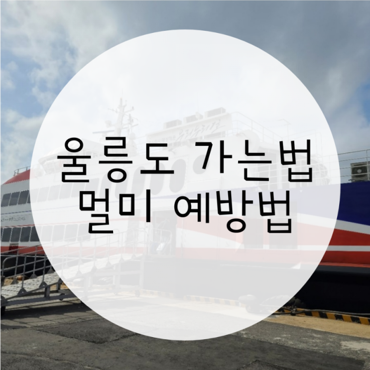 울릉도 가는 배편, 포항여객선터미널에서 출발해서 울릉도 사동항