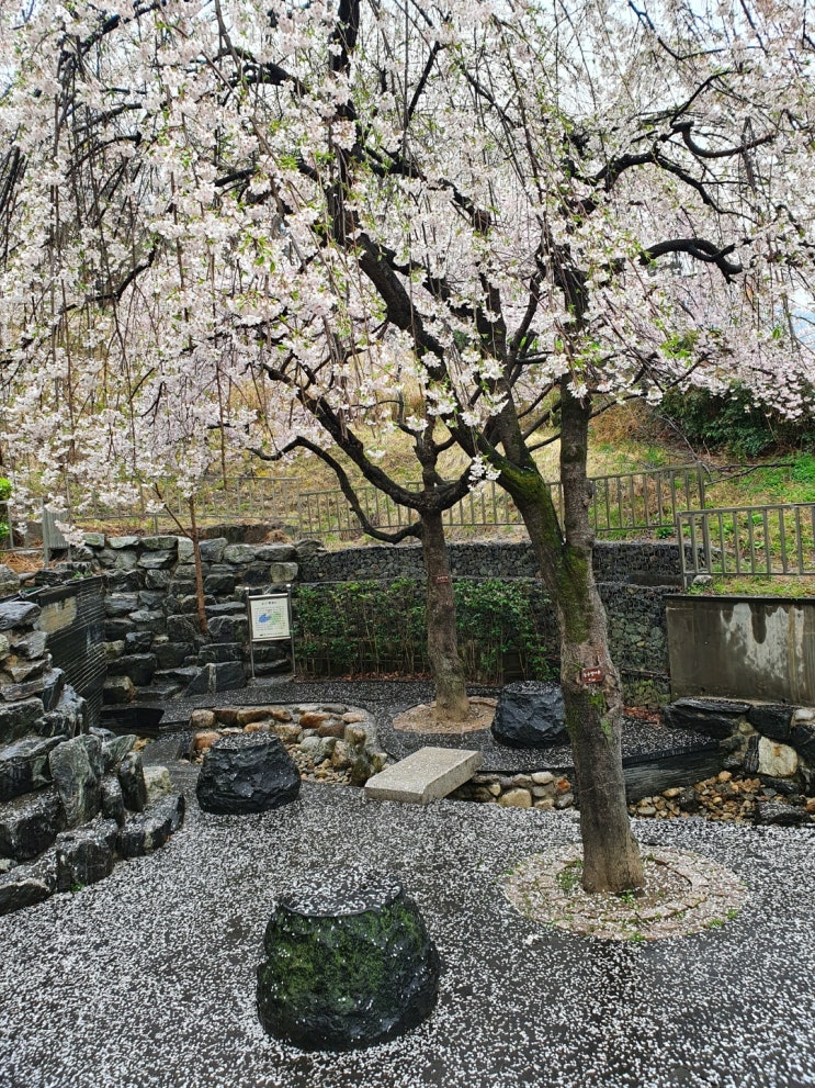  봄 산책