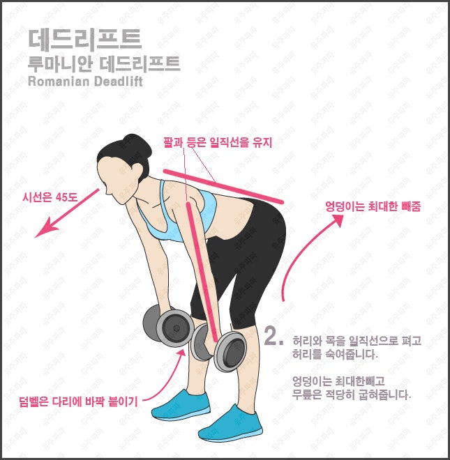 바니짐PT 이미지