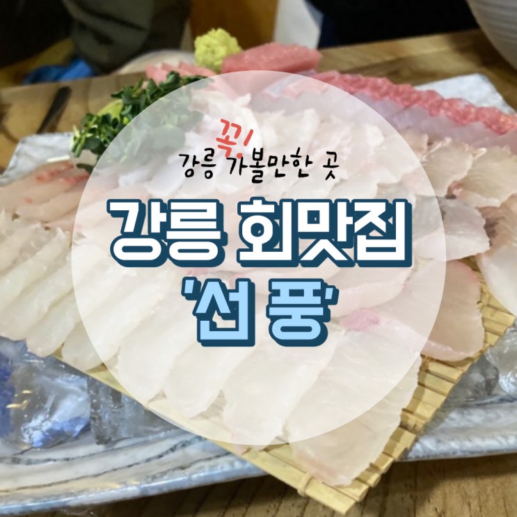 강릉 선풍, 강릉 회맛집 추천 [강릉 교동택지 맛집]