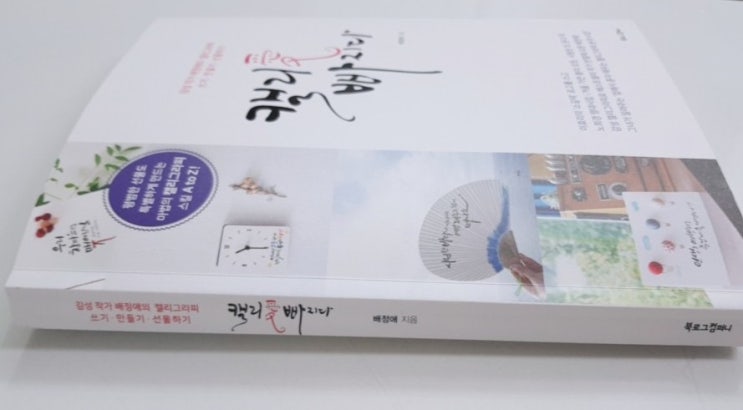  캘리애 빠지다   [배정애지음]