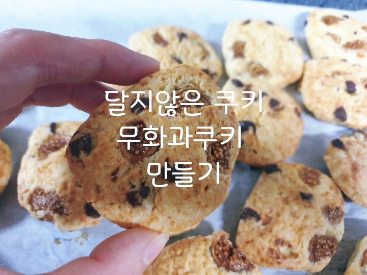 달지않은 무화과초코칩 쿠키 만들기/저당레시피/다이어트쿠키