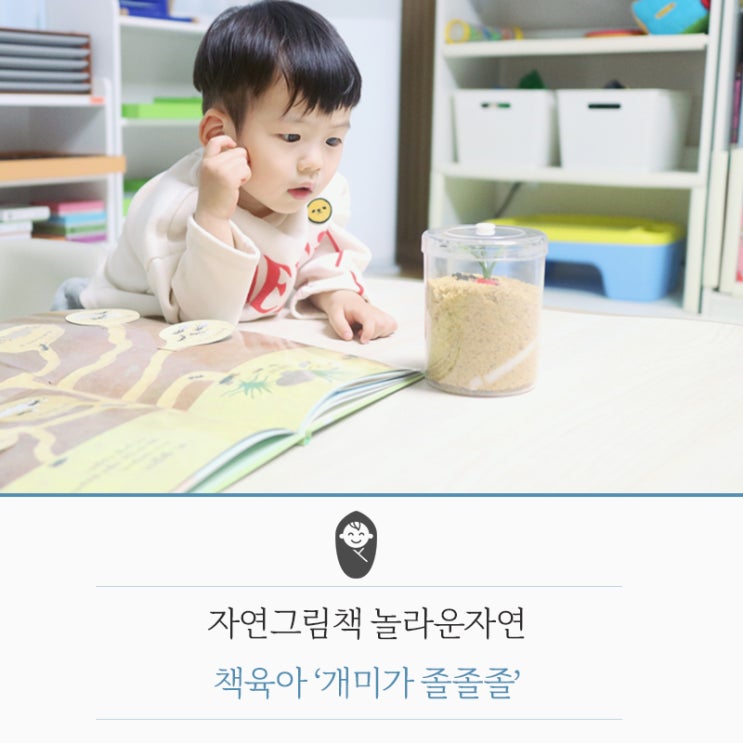  [즐거운책놀이] 자연그림책 놀라운자연 개미책