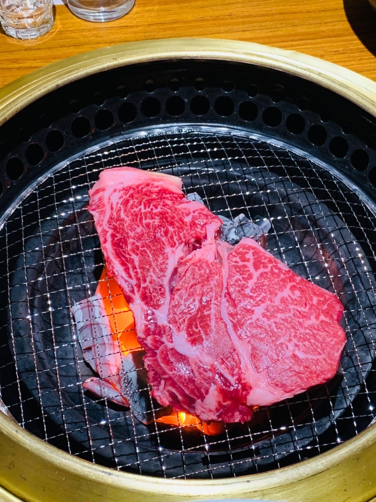  되돌리는 하루