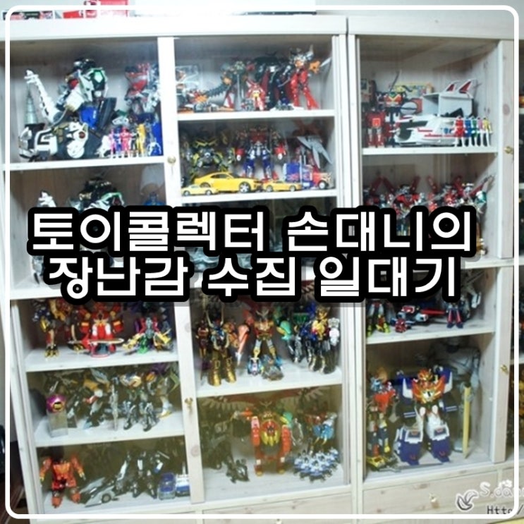 토이콜렉터 손대니의 장난감 수집 일대기 토이콜렉터 손대니의 장난감 수집 일대기