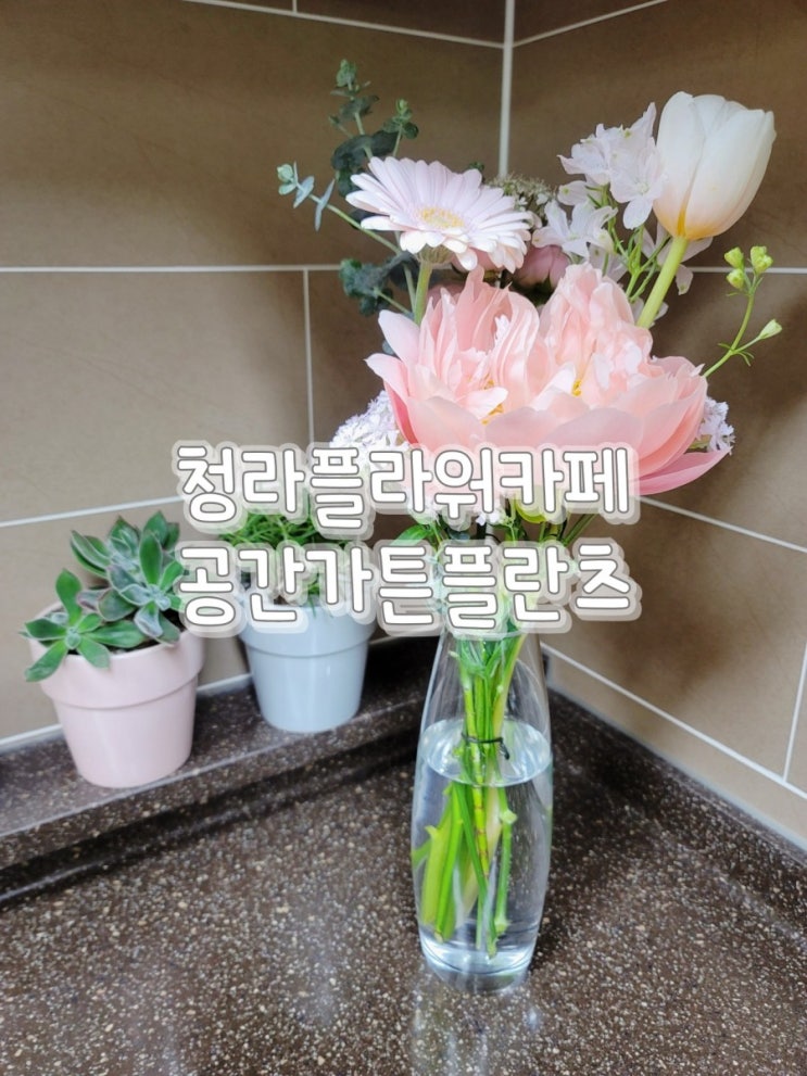  청라 플라워카페 공간 가튼 플란츠에서 어버이날꽃 준비해보세요^^
